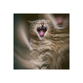 Like Edvard Mu&hellip;