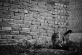 Fotomachak u a&hellip;
