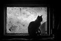 ona koja je da&hellip;