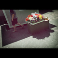 Plastic Fantas&hellip;