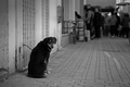 please forgive&hellip;