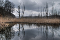 ProLjetna dePr&hellip;