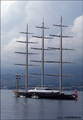 the Maltese Fa&hellip;