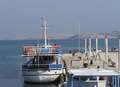 morski galeb, &hellip;