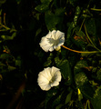 sunce,sjene i &hellip;