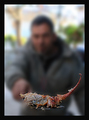 Gledano s drug&hellip;