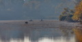 stara Drava Be&hellip;