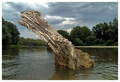 Dravska neman &hellip;