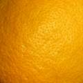 Limun, Citrus &hellip;
