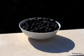 Rubus fruticos&hellip;