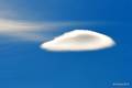 lenticularis