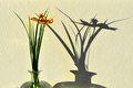 shadow on the &hellip;