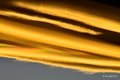 lenticularis p&hellip;