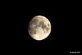 Luna 1. 8. 202&hellip;
