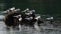 Ocean’s Eleven&hellip;