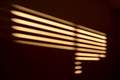 Shadow on the &hellip;