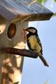 catering parus&hellip;