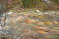 The River of N&hellip;