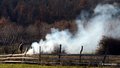Semper flamma &hellip;