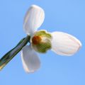 Visibaba (4), &hellip;