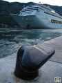 MSC Armonia, 2&hellip;