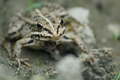 test objektiva&hellip;