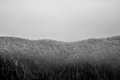 fotogenična šu&hellip;