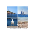 The Mediterran&hellip;