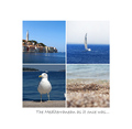 The Mediterran&hellip;