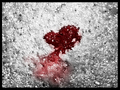 BloodyHearth