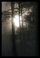 Opet sunce kro&hellip;