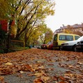 Jesen u Vrbani&hellip;