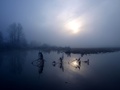 Izabran/The Ch&hellip;