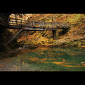 U vrtlogu jese&hellip;