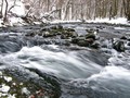 Rječica curak &hellip;