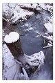 Smrznuta cipel&hellip;
