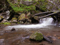 Zeleni vir - p&hellip;