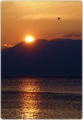 galeb sunce mo&hellip;