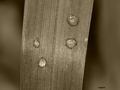 four drops