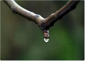 kap, dof