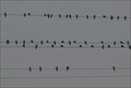 la musica di n&hellip;