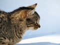 profil moje &q&hellip;