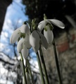 ovogodišnje (n&hellip;