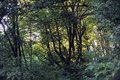 pogled udesno.&hellip;