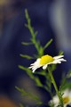 profil druge i&hellip;
