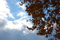 pogled s mog p&hellip;