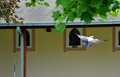 priča jedne vr&hellip;
