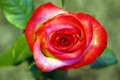 SRETNO VALENTI&hellip;