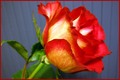 Sretno Valenti&hellip;