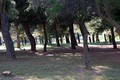 pozdrav s Plav&hellip;